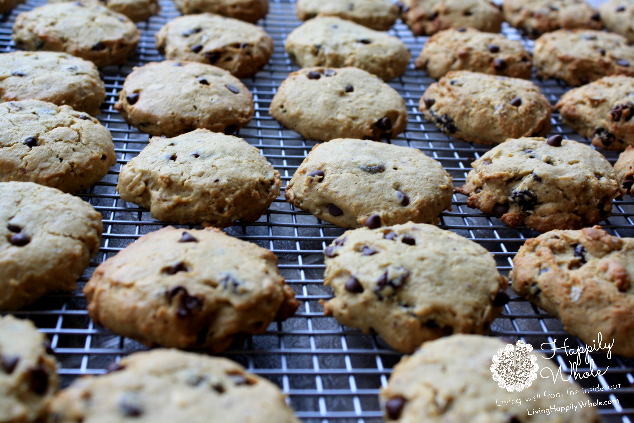 A Recipe Worth a Laugh...gluten free, healthy breakfast cookies